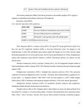 PCI magistralės 11 puslapis