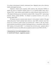 PCI magistralės 13 puslapis