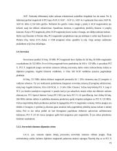 PCI magistralės 18 puslapis