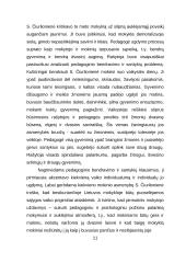Pedagogo autoriteto problema visuomenėje 10 puslapis