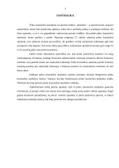 Pelno (nuostolio) ataskaita kaip įmonės veiklos metraštis 2 puslapis