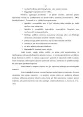 Pelno (nuostolio) ataskaita kaip įmonės veiklos metraštis 12 puslapis