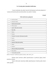 Pelno (nuostolio) ataskaita kaip įmonės veiklos metraštis 13 puslapis