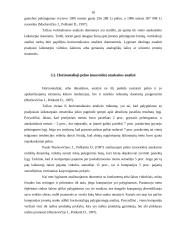 Pelno (nuostolio) ataskaita kaip įmonės veiklos metraštis 17 puslapis