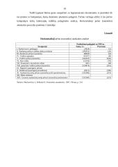 Pelno (nuostolio) ataskaita kaip įmonės veiklos metraštis 18 puslapis