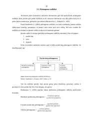 Pelno (nuostolio) ataskaita kaip įmonės veiklos metraštis 19 puslapis