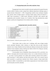 Pelno (nuostolio) ataskaita kaip įmonės veiklos metraštis 5 puslapis