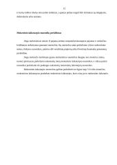 Pelno apskaičiavimas 12 puslapis
