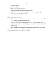 Pelno apskaičiavimas 18 puslapis