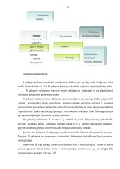 Pensijų fondų funkcionavimas užsienyje 11 puslapis