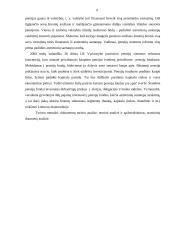 Pensijų fondų funkcionavimas užsienyje 4 puslapis