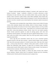 Pensijų fondų kūrimas Lietuvoje 3 puslapis