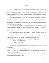 Pensijų kaupimas. Pensijų fondai Lietuvoje 3 puslapis