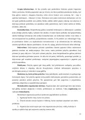 Permainų įgyvendinimas UAB "Fauga" 12 puslapis