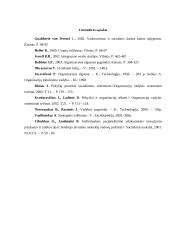 Permainų įgyvendinimas UAB "Fauga" 19 puslapis