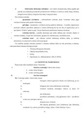 Personalo darbo vertinimas: UAB "Paletti" 11 puslapis