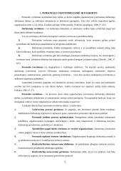 Personalo darbo vertinimas: UAB "Paletti" 3 puslapis