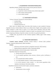 Personalo darbo vertinimas: UAB "Paletti" 5 puslapis