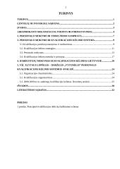 Personalo mokymas ir tobulinimas organizacijoje 2 puslapis