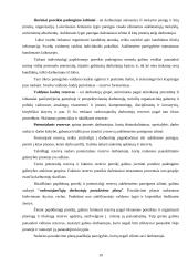 Personalo organizavimo ypatumai įmonėse 19 puslapis