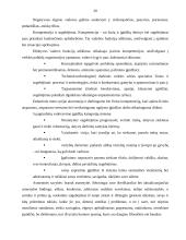 Personalo paieškos ir atrankos problemos paslaugų organizacijoje 20 puslapis