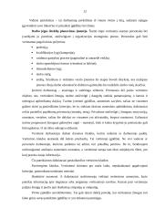 Personalo poreikio planavimas 12 puslapis