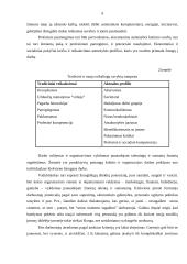 Personalo poreikio planavimas 9 puslapis