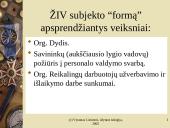 Personalo vadybos ypatumai Lietuvoje 11 puslapis