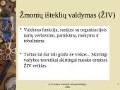 Personalo vadybos ypatumai Lietuvoje 6 puslapis