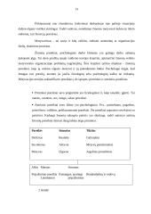 Organizacijos personalo valdymas 13 puslapis