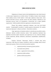 Organizacijos personalo valdymas 3 puslapis