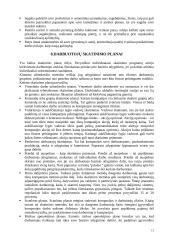 Personalo valdymo apžvalga 13 puslapis
