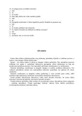 Personalo valdymo apžvalga 17 puslapis