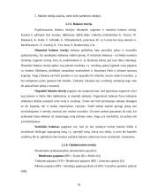Personalo valdymo modelis įmonėje gaminančioje metalo konstrukcijas 17 puslapis
