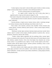 Pieno produktų vartotojų elgsenos tyrimas 3 puslapis