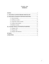 Pilietinio ugdymo filosofiniai pagrindai 2 puslapis