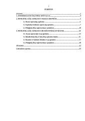 Piniginių lėšų apskaita 2 puslapis