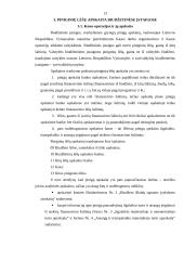 Piniginių lėšų apskaita 13 puslapis