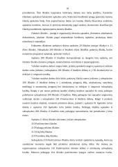 Piniginių lėšų apskaita 18 puslapis