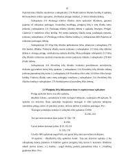 Piniginių lėšų apskaita 19 puslapis