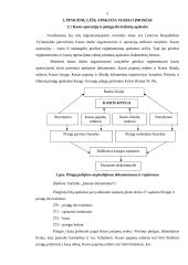 Piniginių lėšų apskaita 5 puslapis