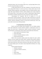 Piniginių lėšų apskaita 7 puslapis