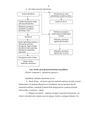 Piniginių lėšų apskaita 8 puslapis