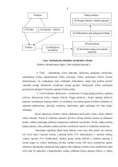 Piniginių lėšų apskaita 9 puslapis
