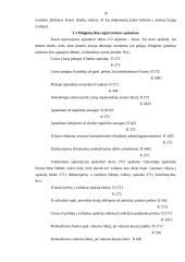 Piniginių lėšų apskaita 10 puslapis