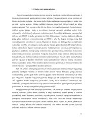 Pinigų plovimas ir  terorizmo finansavimas elektroninėje erdvėje 14 puslapis