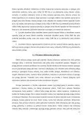 Pinigų plovimas ir  terorizmo finansavimas elektroninėje erdvėje 20 puslapis