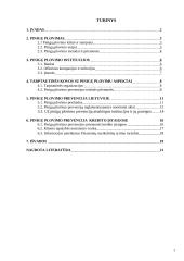 Pinigų plovimo prevencija 2 puslapis