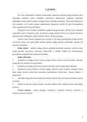 Pinigų plovimo prevencija 3 puslapis