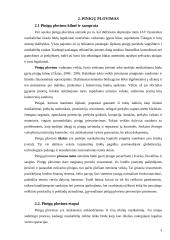 Pinigų plovimo prevencija 4 puslapis